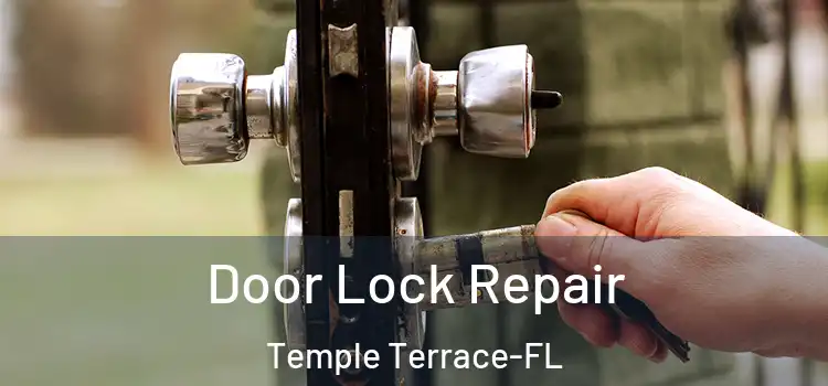  Door Lock Repair Temple Terrace-FL