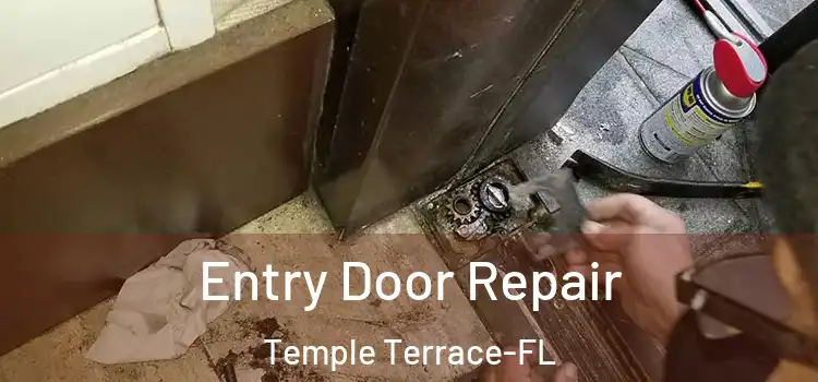  Entry Door Repair Temple Terrace-FL