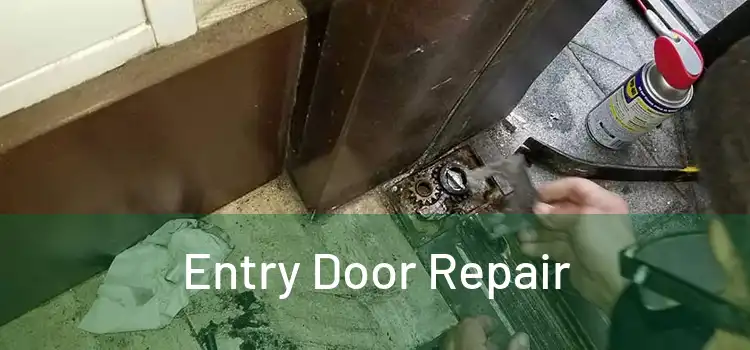  Entry Door Repair 