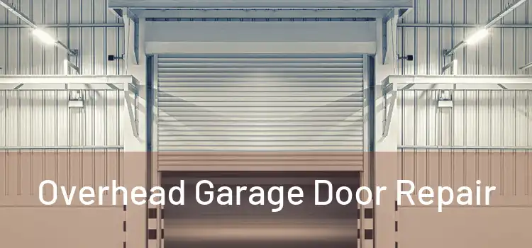  Overhead Garage Door Repair 