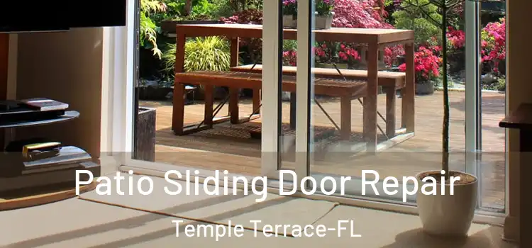 Patio Sliding Door Repair Temple Terrace-FL