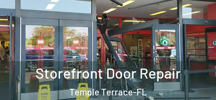  Storefront Door Repair Temple Terrace-FL